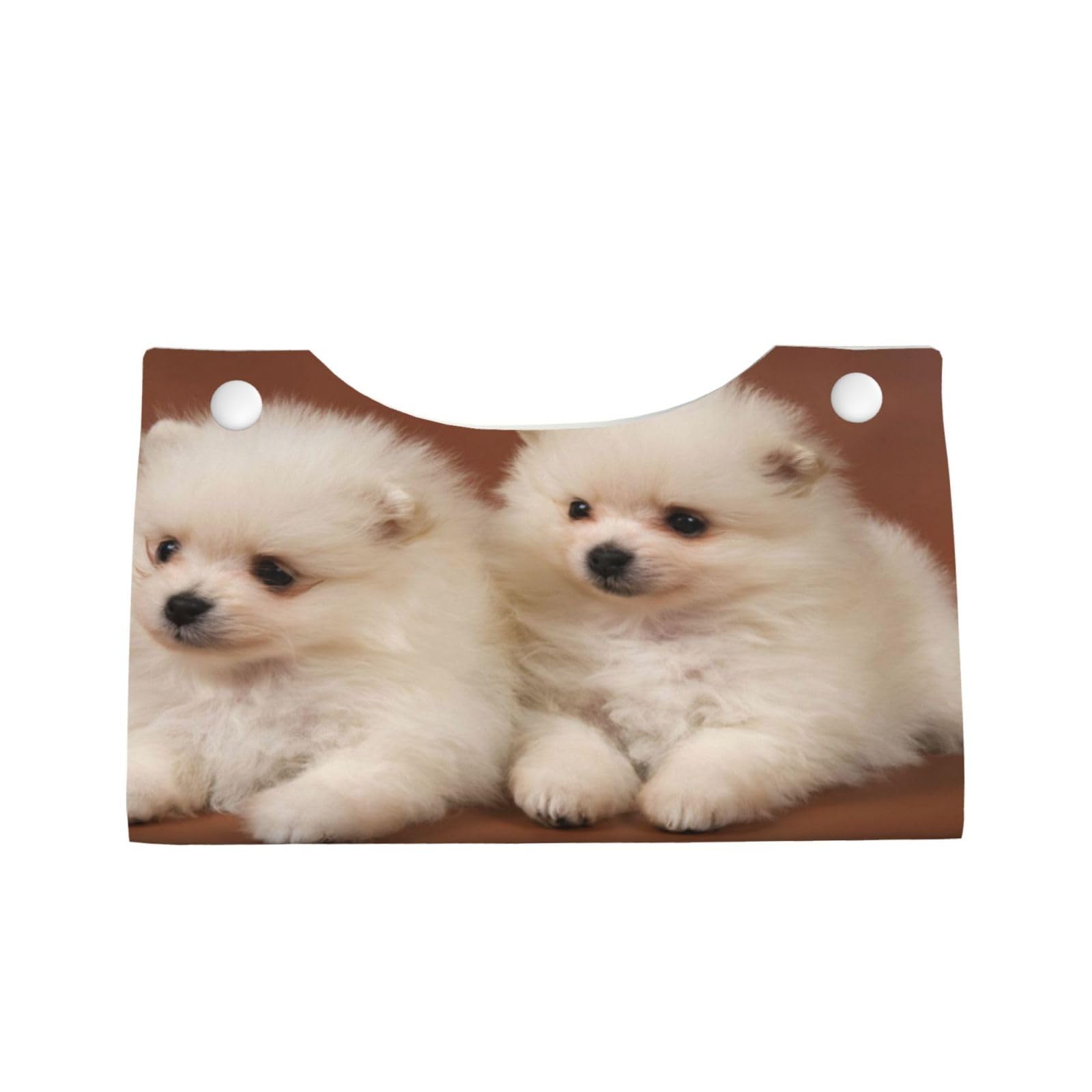 Amazon｜かわいい ポメラニアン いぬ 犬 (1) ティッシュケース
