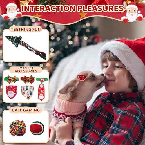 Motionchic Dog Advent Calendar 2024 thumb #3