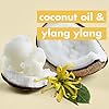 Love Beauty and Planet Coconut Oil & Ylang Hope and Repair Shampoo and Conditioner for Dry and Damaged Hair 2 Count, 13.5 oz each, Paraben , Silicone Free, Vegan