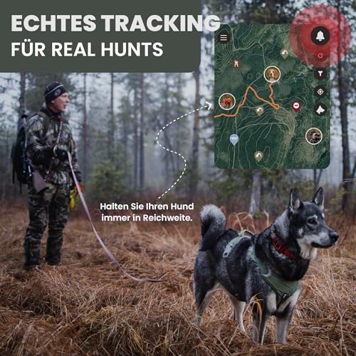 MiniFinder Rex Hundetracker – Intelligentes, wasserdichtes Hundehalsband mit LED-Licht, Bellanzeige, App & Echtzeit-Ortung – Robuster GPS-Tracker für Jagdhunde mit weltweiter Reichweite
