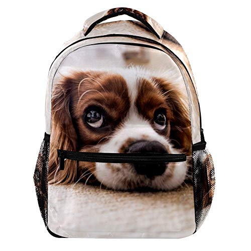 Preisvergleich Produktbild Rucksack für Haustiere, Welpen, für Grund- und Mittelschule, Studenten, Büchertasche, Outdoor, Reisen, Wandern, trendig, lässig, große Kapazität, für Mädchen und Jungen