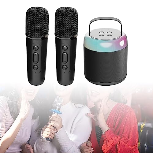 UGPLM Conjunto de alto-falante portátil sem fio Bluetooth para karaokê para crianças e adultos Siste