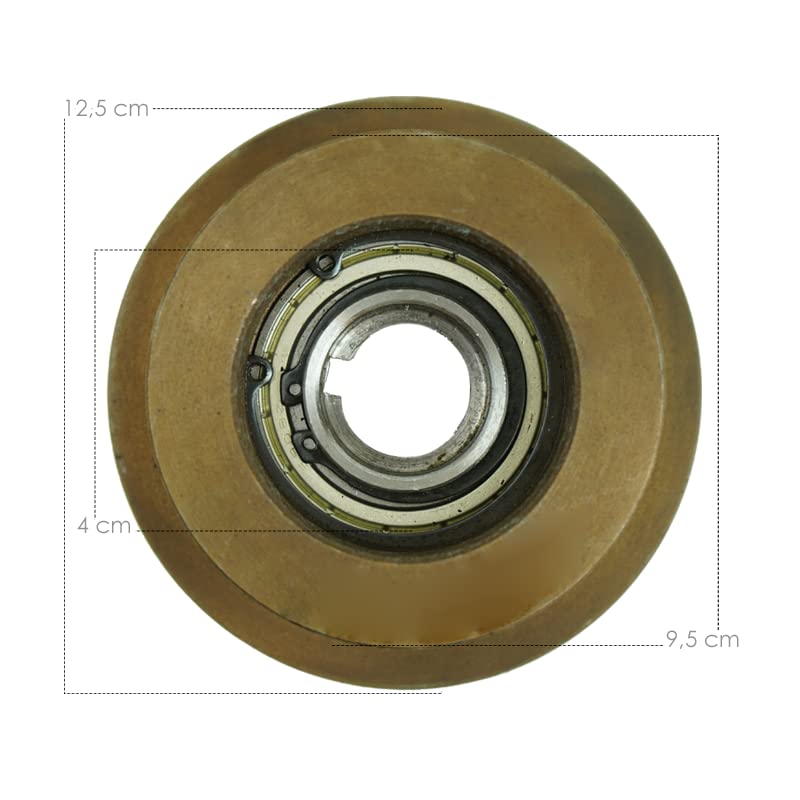 SAKAWA Frizione per Motori 4 Tempi 25mm Cippatore BS1600 BS2300 e BS2700