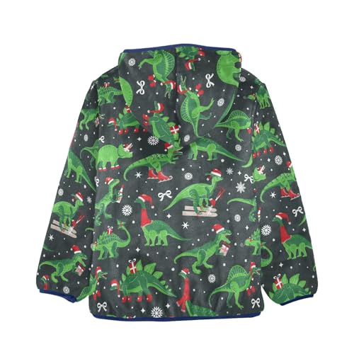 Boys' Fleece Hoody Jacket Zip Up Coat Warm Fall Winter Plush Jacket Christmas Dinosaurs Long Sleeve Outerwear2