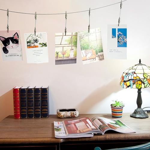Image of Photo Hanging Display with Clips, Wall Hanging Photo Display, DIY Picture Photo Frame String Photo Display Cable Wire Rod String with 12 Clips