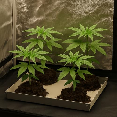 Mini-Luftbefeuchter, 300 ml, tragbar, mit 7 Farben, 2 Nebelmodi, sehr leise, geeignet für Zuhause, Auto, Schlafzimmer, Büro und Reisen (Pink)… 2 Mini-Luftbefeuchter, 300 ml, tragbar, mit 7 Farben, 2 Nebelmodi, sehr leise, geeignet für Zuhause, Auto, Schlafzimmer, Büro und Reisen (Pink)… – Bild 2