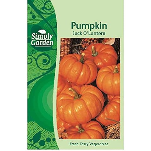Simply Garden Pumpkin Jack O’Lantern Seeds Cover