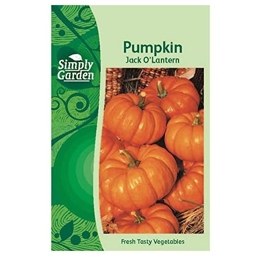 Simply Garden Pumpkin Seeds