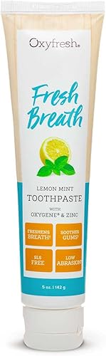 Premium Oxyfresh - Pasta de dientes con aroma a menta y limón, dientes limpios y aliento fresco, aceites esenciales naturales y xilitol natural para