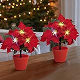 JETEHO 2 Pack Lighted Poinsettia Flowers Artificial Poinsettias Plants in Pot Silk Fake Poinsettias Arrangements Indoor Outdoor Christmas Poinsettia Flowers Decoration Xmas Gift