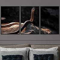3 Piece Framed Canvas Wall Art Snakes Canvas Prints Home Artwork Decoration for Living Room,Bedroom - 16