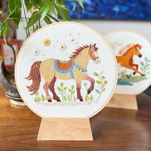 Lienzos bordados con aro para crear una decoración del hogar única 5