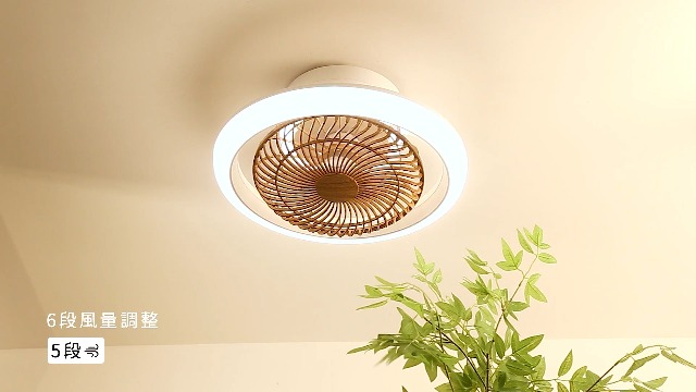 シーリングファンライト【業界初・二重回転】サーキュレーター LED 天井扇風機 Amazon.co.jp : Ryofuga シーリングファンライト【2026 業界初・二重