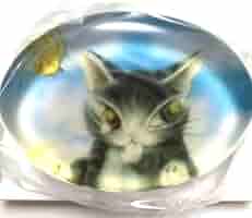 Amazon.co.jp: わちふぃーるど ダヤン ガラス ペーパーウェイト