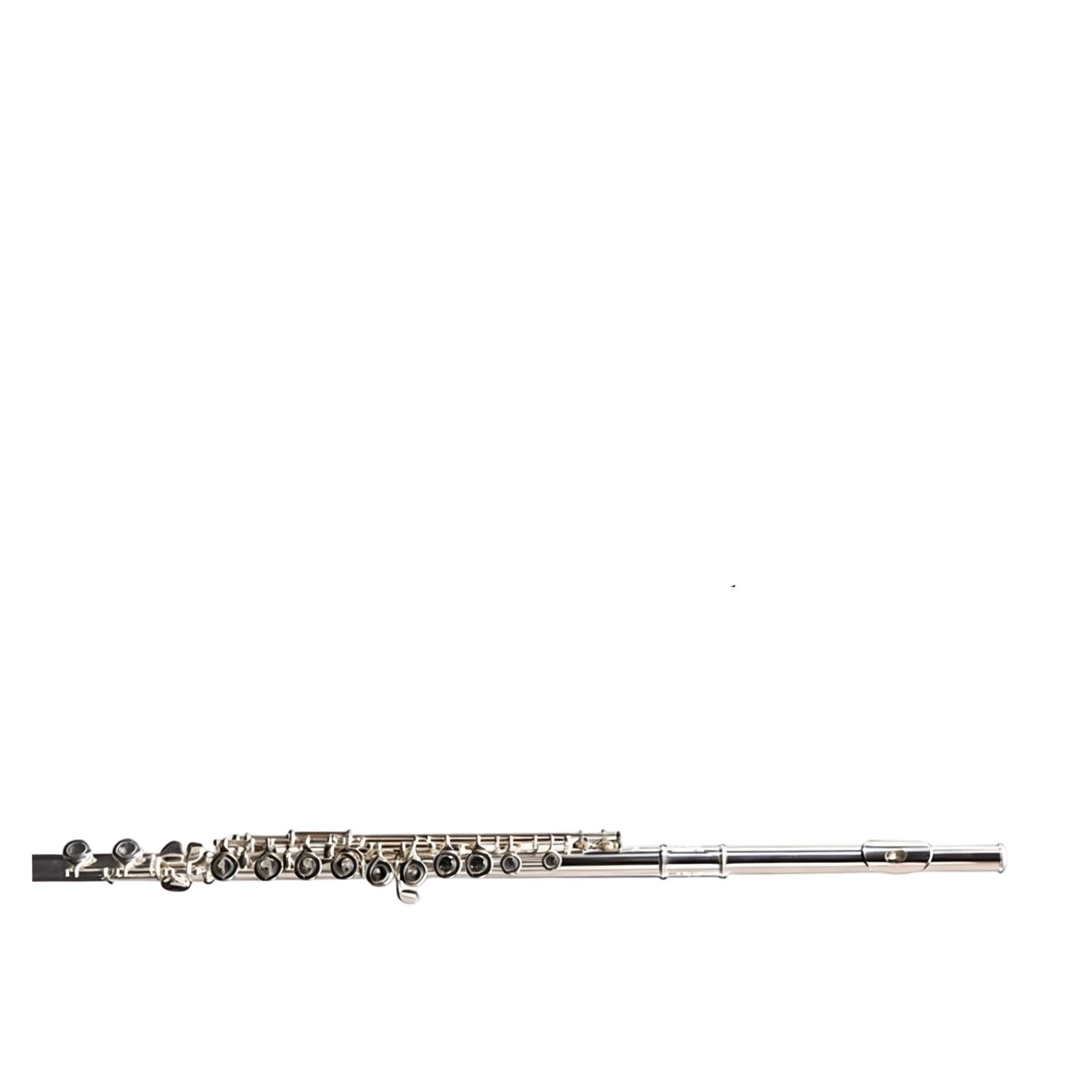 Flute Instruments Profesjonalny flet