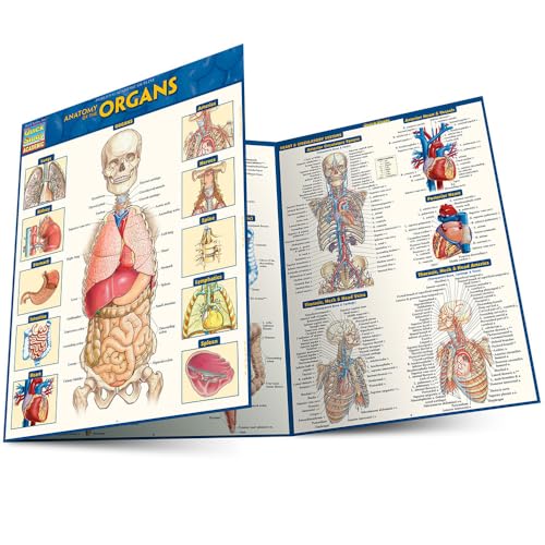 Anatomy of the Organs: QuickStudy Laminated Reference Guide (Quick Study Academic)