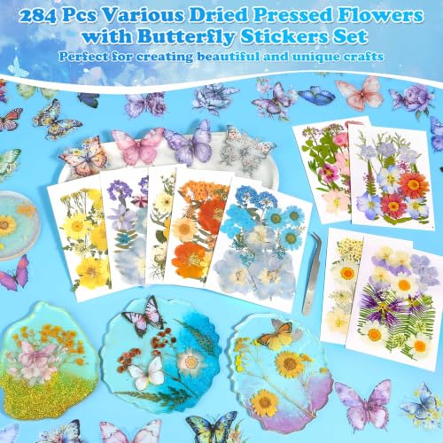 Image of 284 Pcs Real Dried Pressed Flowers & Butterfly Stickers for Resin Crafts