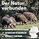 BREERs Getrocknete Schweineohren für Hunde 10 Stück Kauartikel aus Schwein, Hundeleckerli getreidefrei, Kausnack, Leckerli Hund, eigene deutsche Herstellung