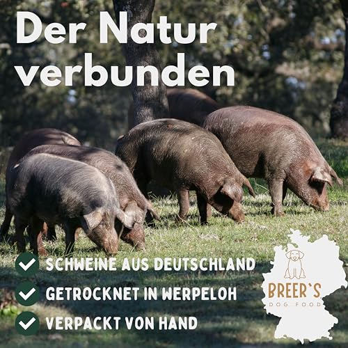 BREERs Getrocknete Schweineohren für Hunde 10 Stück Kauartikel aus Schwein, Hundeleckerli getreidefrei, Kausnack, Leckerli Hund, eigene deutsche Herstellung