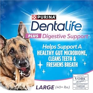 Dentalife purina plus digestive support chicken and pumpkin flavor large dog dental chews  6 ct Pouch   cucciolini doodles