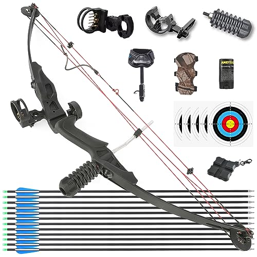 HNZMDY Bogenschießen Compound Bogen und Pfeil Set für Jugend und Erwachsene Anfänger 30 Lbs Rechtshänder Bogen mit Allem Zubehör 24,8\" Draw Länge, 30 Lbs Draw Gewicht, IBO 130 FPS (Typ 2: Bogen Set) HNZMDY Bogenschießen Compound Bogen und Pfeil Set für Jugend und Erwachsene Anfänger 30 Lbs Rechtshänder Bogen mit Allem Zubehör 24,8\" Draw Länge, 30 Lbs Draw Gewicht, IBO 130 FPS (Typ 2: Bogen Set)