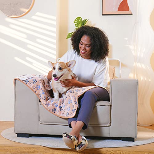 Image of 1 Pack 3 Blankets Super Soft Fluffy Premium Fleece Pet Blanket Flannel Throw for Dog Puppy Cat - Paw (Large(41x31), Brown)