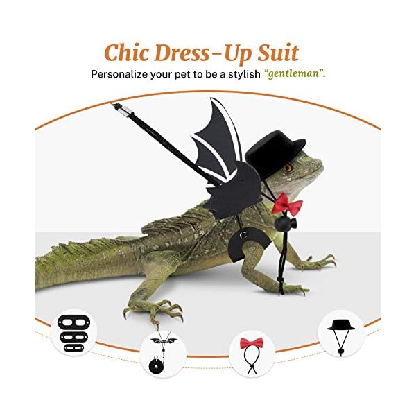Vavopaw bearded dragon lizard leash harness (s/m/l 3 pack), adjustable leash bat wings costume accessories with hat & bow tie collar for lizard reptile, gecko, iguanas, amphibians & small animals - image 5