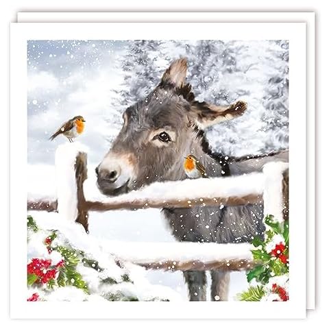 Tracks Publishing Charity Christmas Cards - Donkeys and Robins Cover