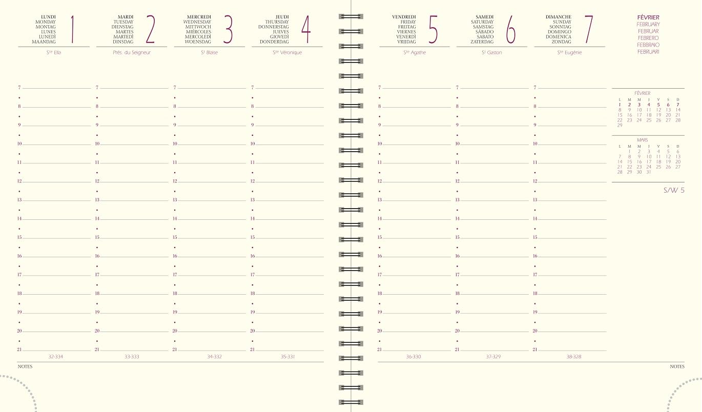 Exacompta - 18627E - Agenda da tavolo SAD 18S Méline - Copertina rimovibile con spirale interna - Formato 15 x 17 cm - Settimanale 16 mesi - da settembre 2024 a dicembre 2025 - Colori casuali