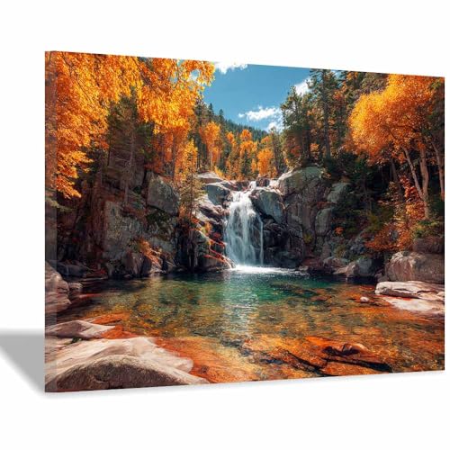 Carte de la Cascade en Forêt d'Automne XENIOU, cadre mural pour masquer les défauts