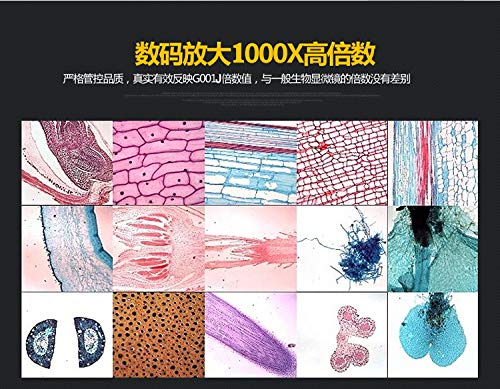 Supereyes G001J Microscopio Digitale Portatile USB 1000X 5MP Digital Biologia Microscopio Portatile Esperimento Portatile Microscopio Manuale Palmare