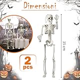 Zoom IMG-1 decorazioni di halloween scheletri scheletro Zoom IMG-1 decorazioni di halloween scheletri scheletro