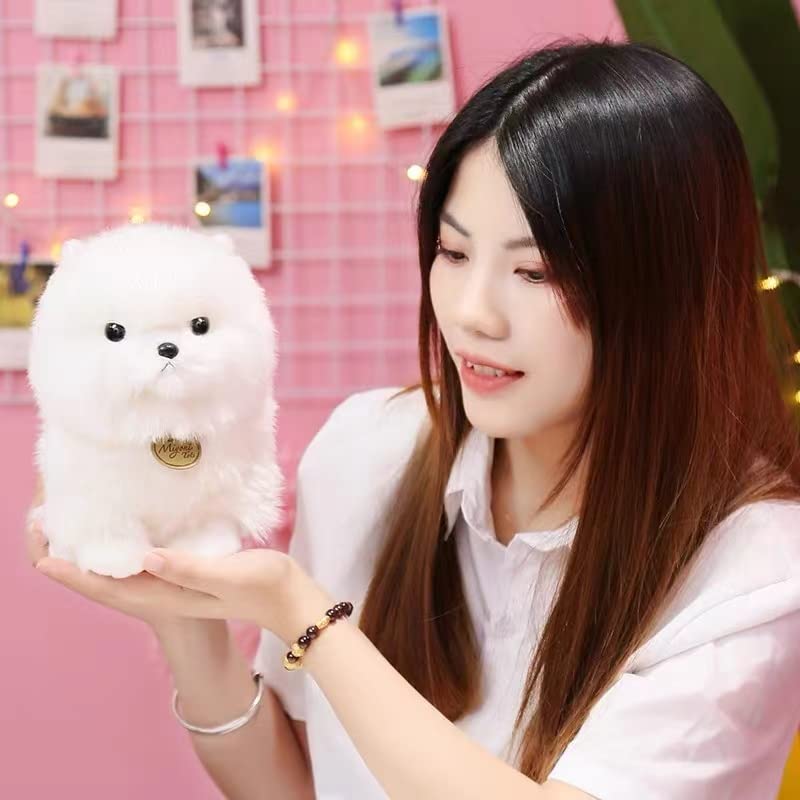 Amazon.co.jp: ぬいぐるみ イヌ 人形 マルチーズ犬 (マルチーズ23cm