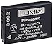 Panasonic DMW-BCG10 Battery