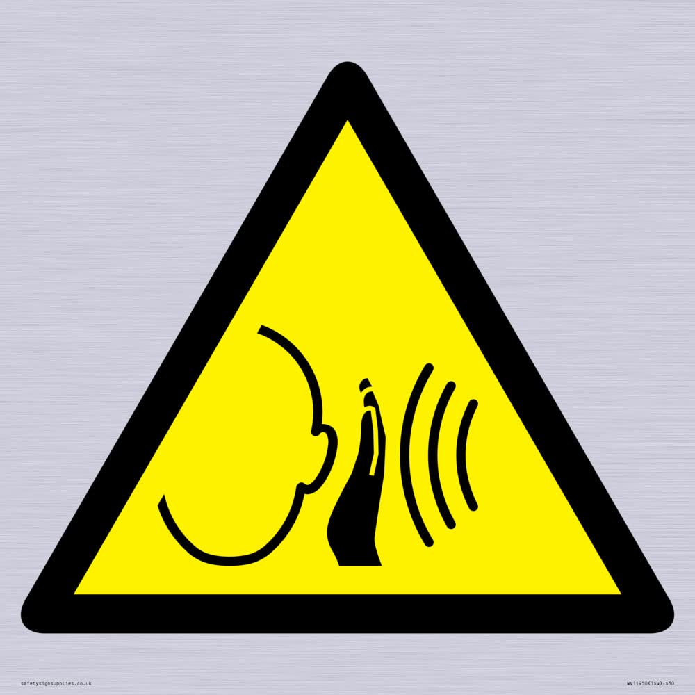 W038 Warning: Sudden loud noise Sign - 300x300mm - S30
