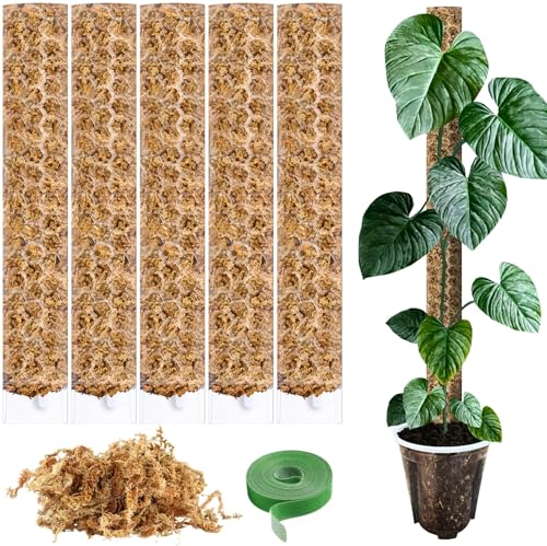 PlantScraper Moosstab für Monstera - Rankhilfe & Zubehör-Set für Zimmerpflanzen - 5 x Pflanzstäbe mit Pflanzen-Klettband & Moos - Optimiert für Aroiden - Befestigung für Kletterpflanzen - 39 x 6 cm