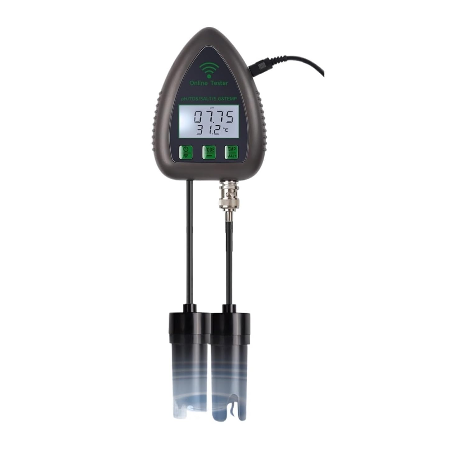 5 in1 Water Quality Tester Monitor TDS EC S.G Salinity Temperature Test PH Meter Hydroponics Aquarium Pool 220V(PH EC Salt S.G Temp)