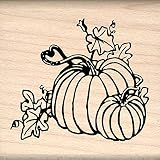 Stamps by Impression Pumpkins Autumn, Fall, Halloween Rubber Stamp