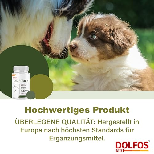 Dolvit Gland Analdrüsen Hund, 60 Tabletten für Hunde, Spezial-Analdrüsenkur mit Kräuterextrakten, Flohsamenschalen & Smektit, Unterstützung Verdauung, korrekte Kotbildung, mittlere & große Hunde
