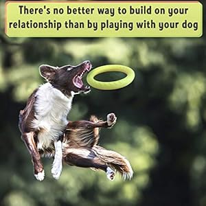 PetSpy Dog Training Ring for Outdoor Fitness Floatable Pulling Toy and Flying Disc Interactive Play Tool for Small Medium Large Dogs PetSpy Dog Training Ring for Outdoor Fitness Floatable Pulling Toy and Flying Disc Interactive Play Tool for Small Medium Large Dogs
