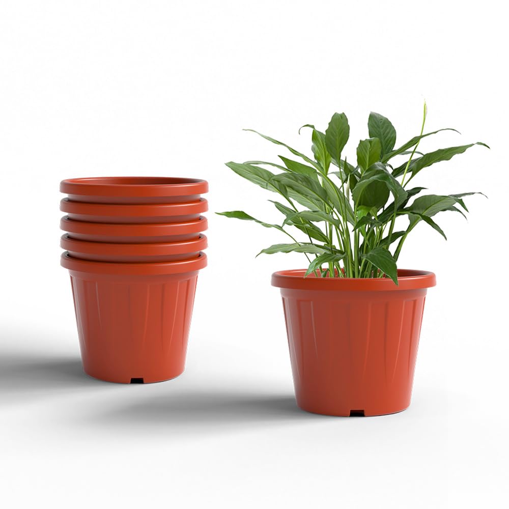 YUCCABE ITALIA 6 Pack White Nursery Planters -30