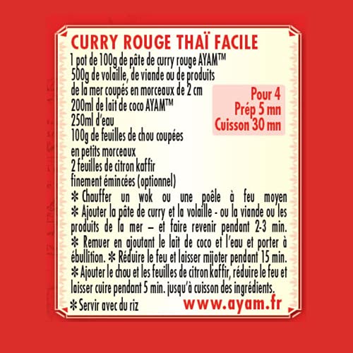 Ayam thaïlande pâte de curry - vue 8