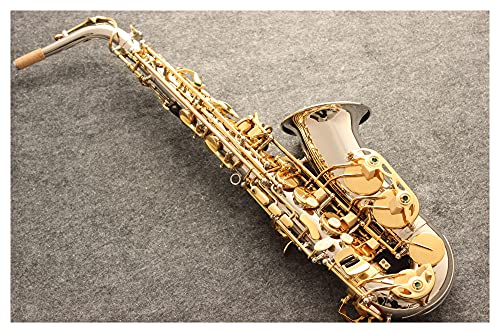 L[^Cv ؊Ǌy AgTbNX jbPbL S[hL[ E-tbg AgTbNX R54 P[Xt }EXs[X [hlbN(J[:S[h)