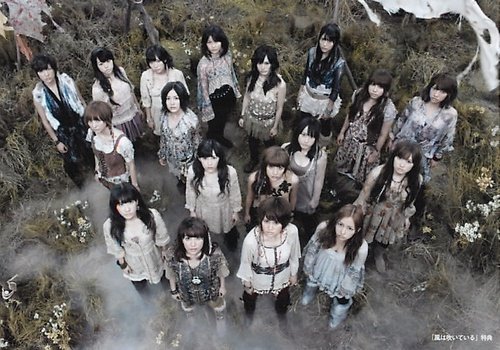 Amazon.co.jp: AKB48 公式生写真 風は吹いている 店舗特典 多売