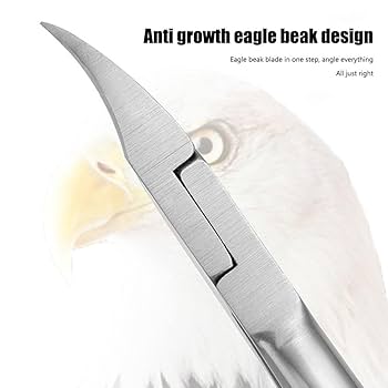 Amazon.co.jp: DIANX 鳥の爪切り 小鳥専用ツメ切り ステンレス製