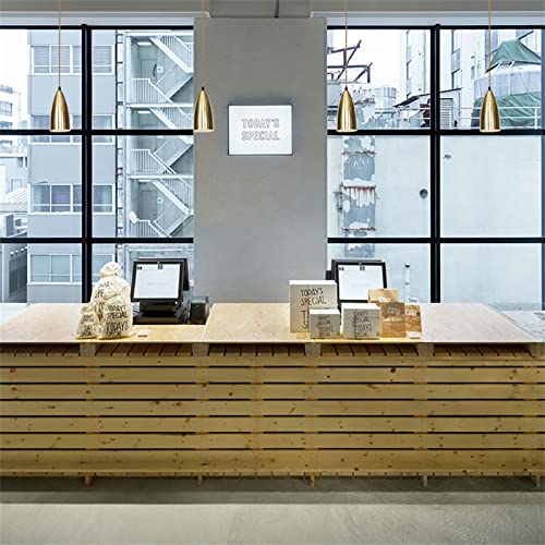 Luces colgantes con cable ajustable y diseño de hierro para iluminar dormitorios 2