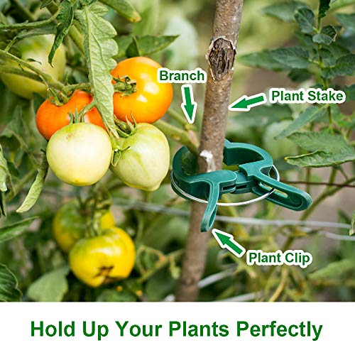Monstake 40PCS Plant Support Clips for Gardening, Gentle Plant and Flower Clamps, Perfect Supporting Climbing Vines, Stalks, Stems Grow Upright Trellis Clip