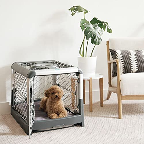 Diggs Revol Dog Crate (Collapsible Dog Crate, Portable Dog Crate