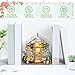 DIY Dollhouse Kit，Miniature Garden House Kit，Wooden Greenhouse Model Building Kits with Furniture and LED Light，DIY Dollhouse Miniature Kit，Craft Set Gifts for Kids Adults