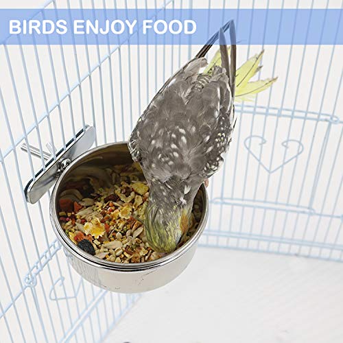 Hercocci Bird Feeder Dish Cup, Stainless Steel Parrot Food Bowl Feeding Coop Cups Clamp Holder, Bird Water Cage Bowl For Parakeet Lovebird Conure Cockatiel Budgie Chinchilla thumb #3